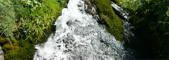 wasser-abwasser-sickerwasser_mood.jpg